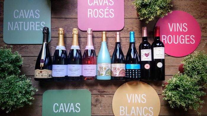 Vins